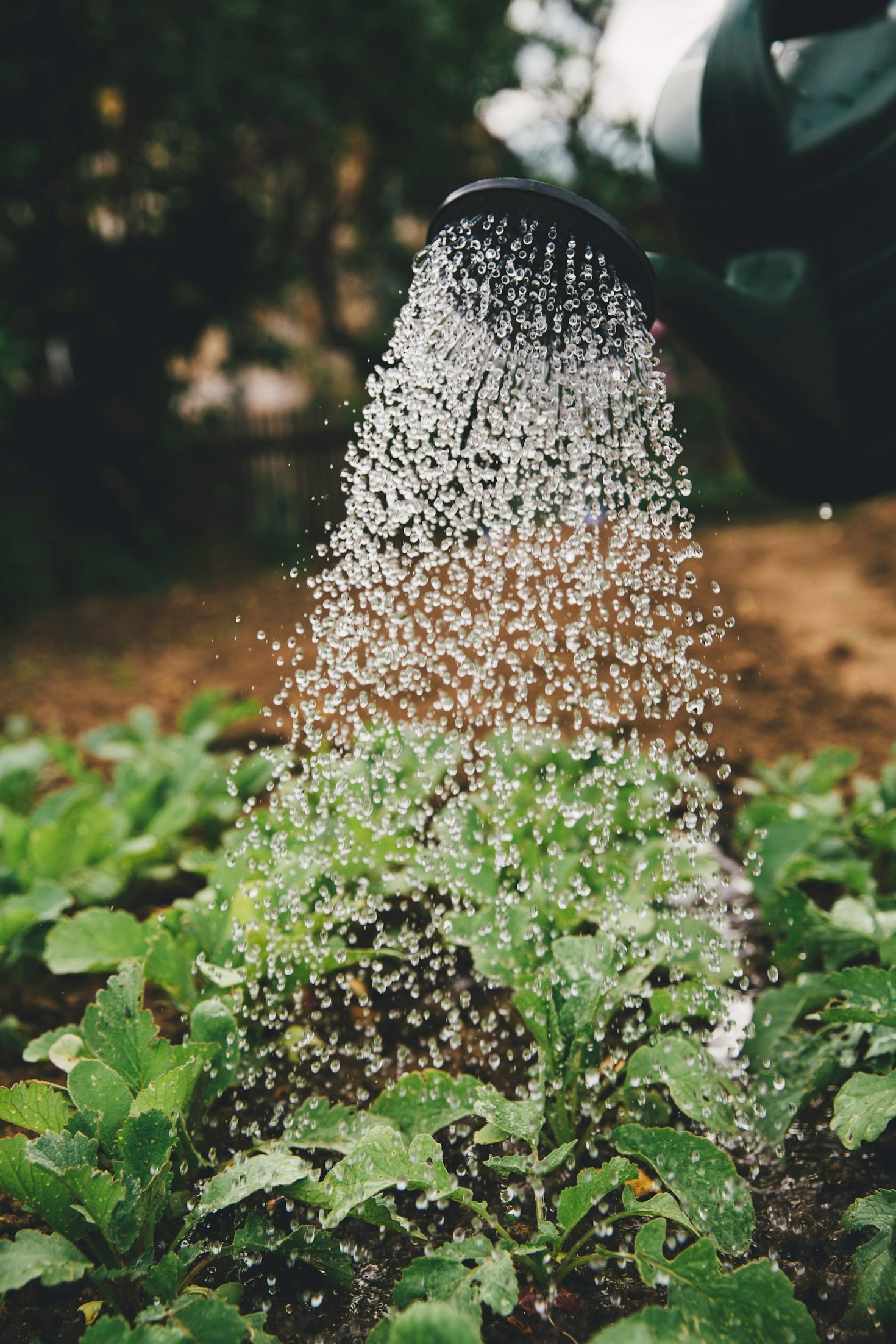 Tendências de mercado para o setor agrícola em 2024